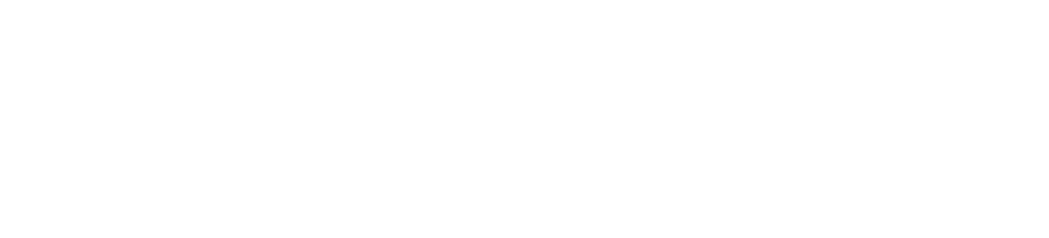 Narralytics logo